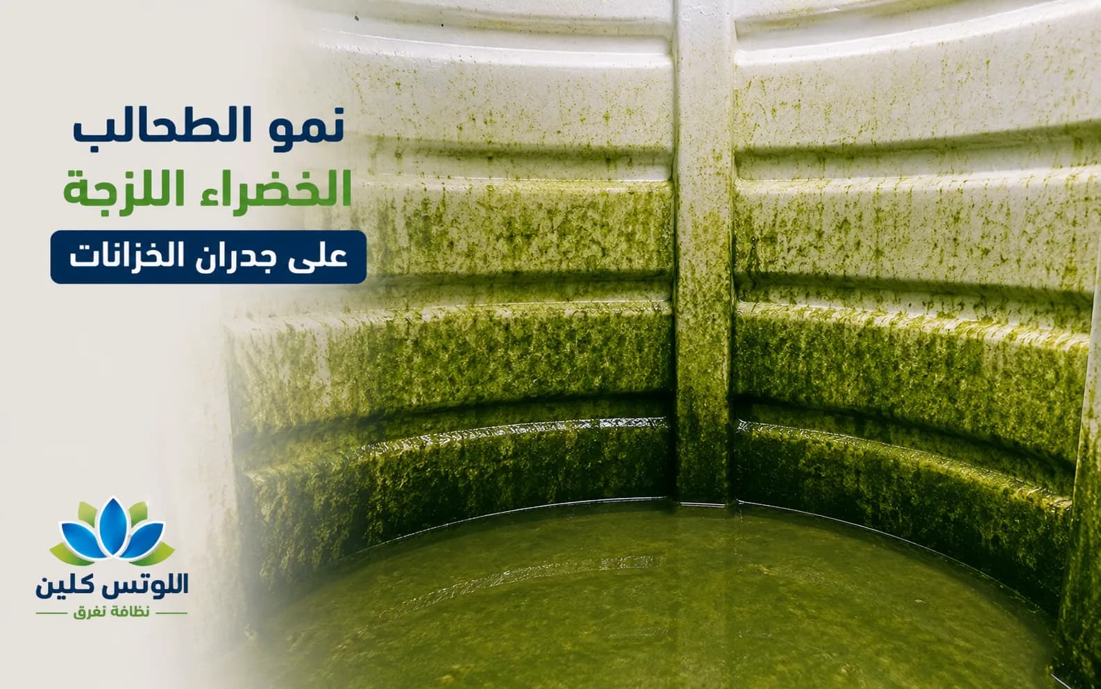 نمو الطحالب الخضراء اللزجة على جدران الخزانات