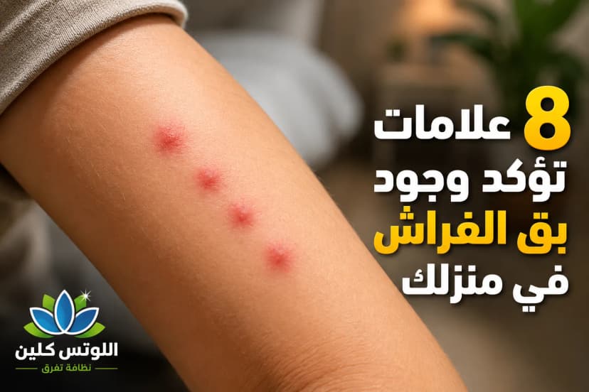 شكل لدغات بق الفراش على الجلد