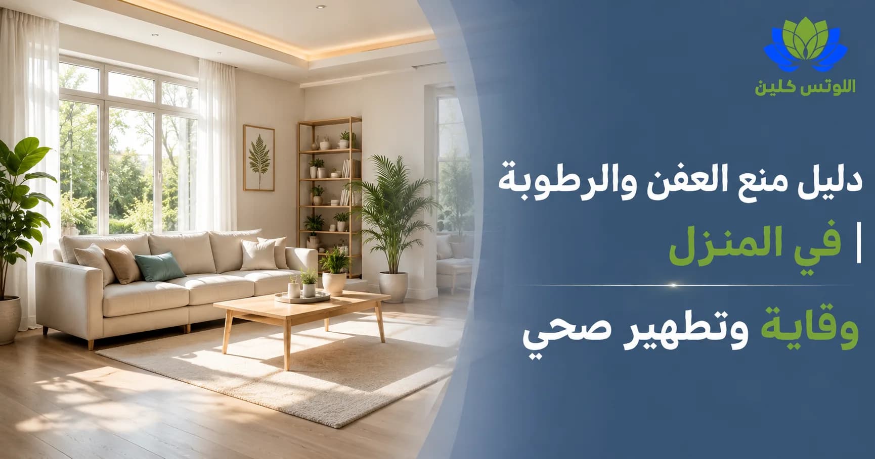كيف تمنع تكون العفن والرطوبة في المنزل؟ دليل التهوية والوقاية الصحية
