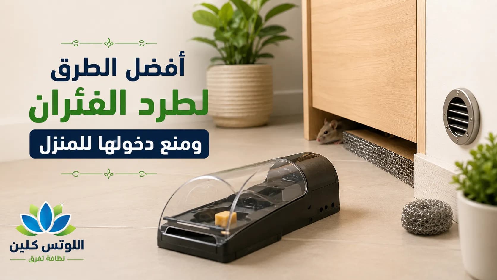 كيفية طرد الفئران من المنزل ومنع دخولها مجدداً: دليل شامل