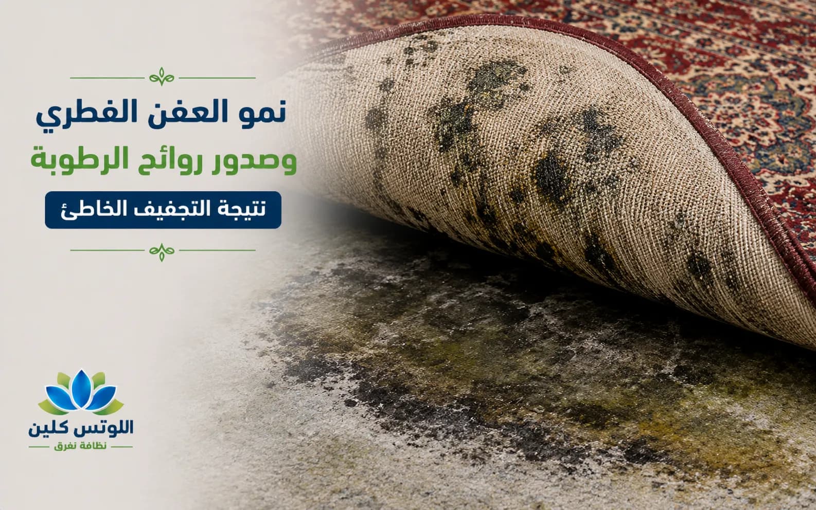 نمو العفن الفطري وصدور روائح الرطوبة نتيجة التجفيف الخاطئ
